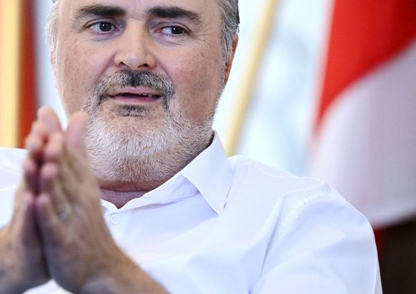 Doskozil-und-die-Memoiren-eines-Elitenschrecks-im-Blattsalat-