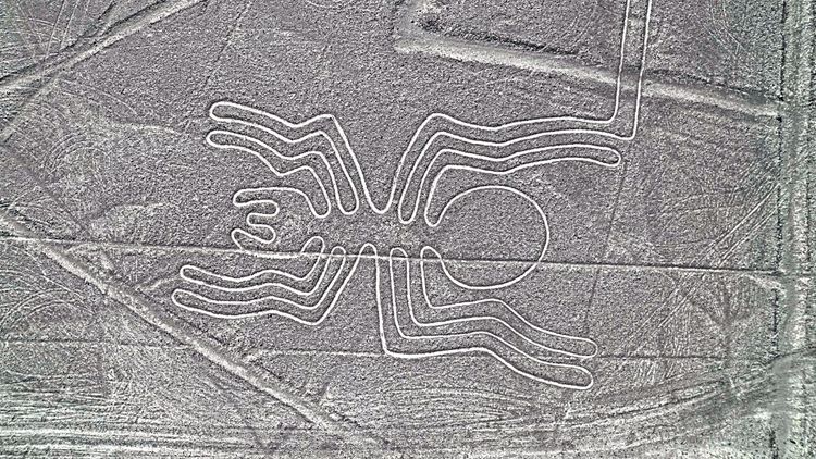 Nazca-Linien Spinne