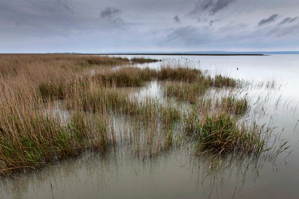 60-000-Kubikmeter-Schlamm-aus-Neusiedler-See-entfernt