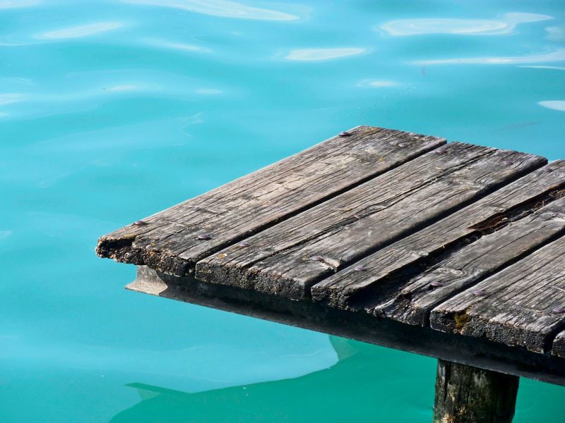 Bundesforste bauen kostenlosen Seezugang aus und Wälder um
