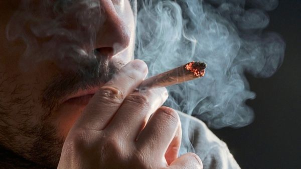 Gibt-es-sichere-Grenzwerte-f-r-Cannabis-Konsum-Forschende-haben-einen-Vorschlag