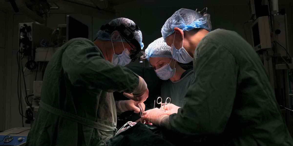 One group continues to perform heart transplants in Ukraine – human