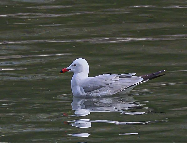 Foto: M. Marxgut Foto: M. Marxgut