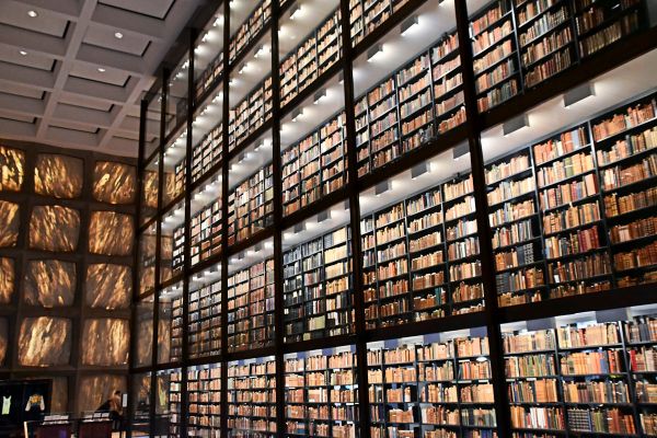 Welche-Autor-innen-lest-ihr-wegen-fragw-rdigen-Taten-oder-Einstellungen-nicht-