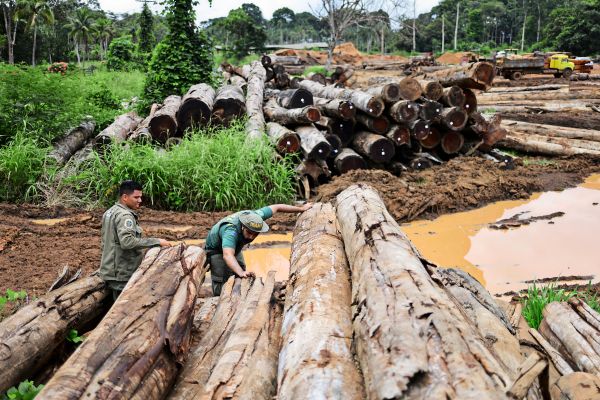 Kampf-gegen-Entwaldung-verschoben-VP-setzte-sich-in-Br-ssel-durch