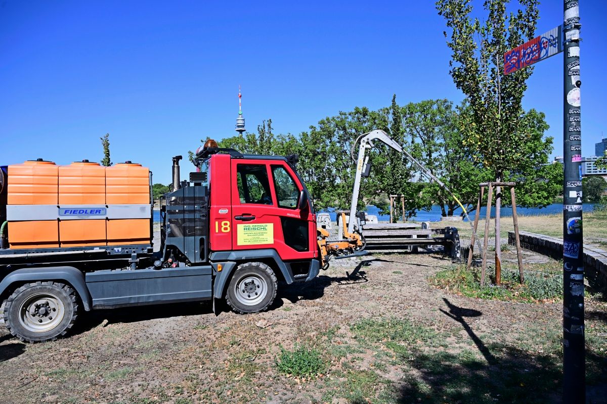 Ein rotes Fahrzeug mit einem Wassertank und einem ausfahrbaren Bewässerungsarm steht auf einer trockenen, unbefestigten Fläche neben neu angepflanzten Bäumen. Im Hintergrund sind Bäume, ein Fluss und ein Fernsehturm sichtbar.