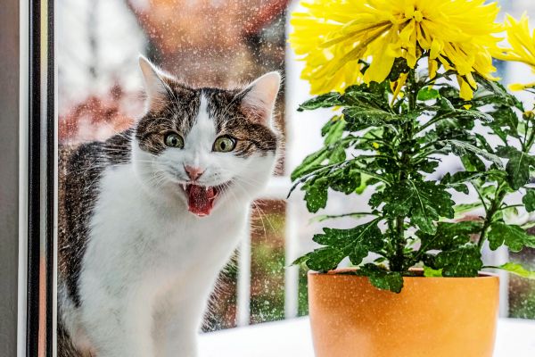 Nach-eher-tr-bem-Wochenende-bringt-der-Montag-eine-Warmfront