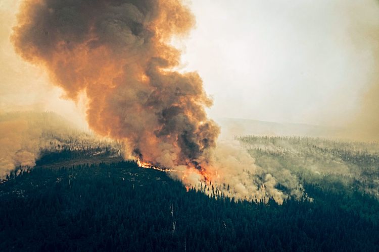 Waldbrand in den Wäldern Kanadas