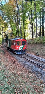 Der Dschungelexpress fährt auch 2026 09e99696 3f0e 4f65 8199 93f81c4172db