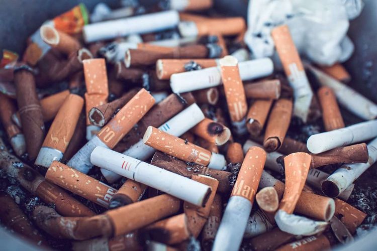 Zigarettenstummeln verschiedener Marken liegen in einem Aschenbecher