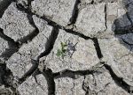 Gewitter brachten nur "kleine Entspannung" der anhaltenden Dürre