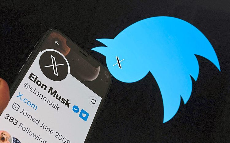 Illustration des Twitter-Vogels mit einem X