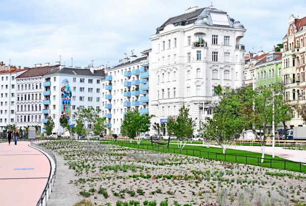 Entsiegelung-in-Wien-Was-soll-der-graue-Schotter-im-gr-nen-Beet-