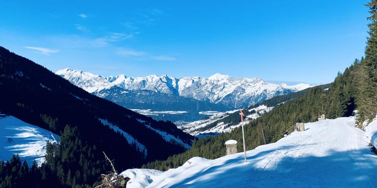 Tirol: Rodelpartie von der Weidener Hütte