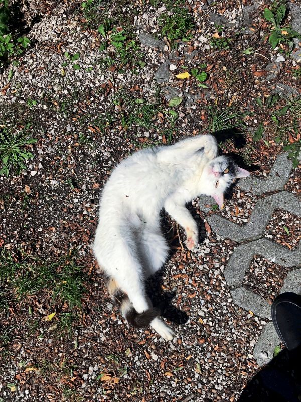 Wetter-Wechselhaft-mit-Sonne-Wolken-und-rtlichen-Niederschl-gen