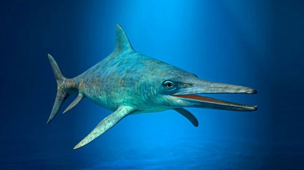 Bild: NHM Wien / Alexander Lukeneder / 7reasons