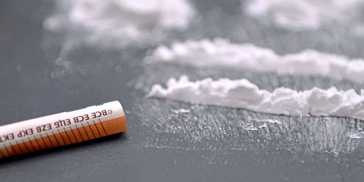 Kokain aus Tabakpflanze: Gentechnik erlaubt einfachere Herstellung der Droge