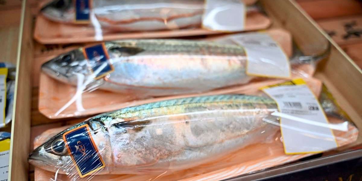 Verpackung soll mit wechselnden Farben vor verdorbenem Essen warnen