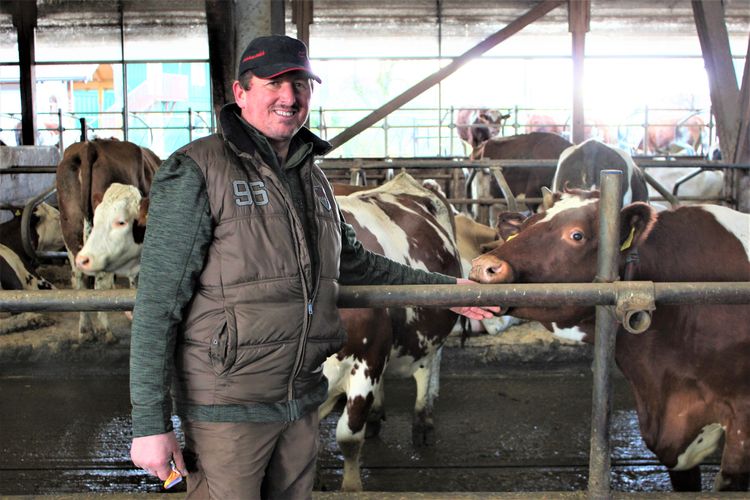 Hafer statt Kuh: Der Kampf um die &amp;quot;normale Milch&amp;quot; - Edition Zukunft ...