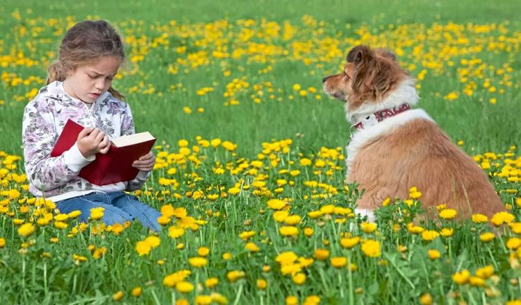 Mädchen mit Hund auf einer Blumenwiese