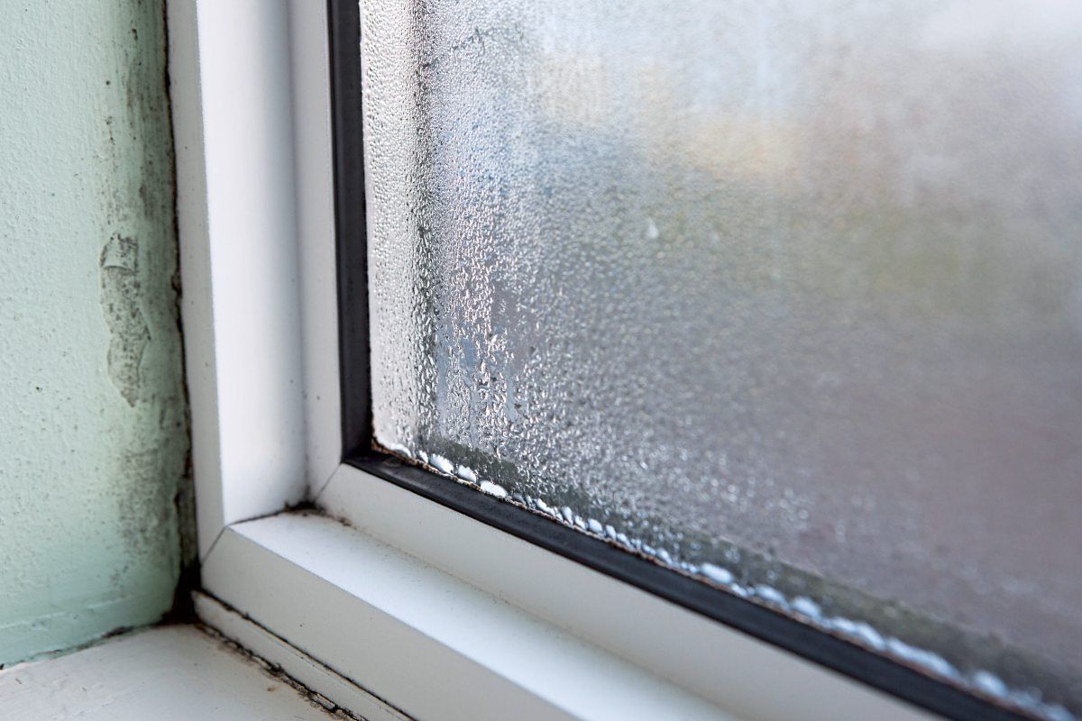 Fenster Sind Morgens Nass