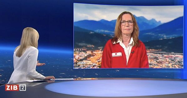 Notfallpsychologin-sieht-in-ZiB-2-an-Waffengesetzen-einiges-nachzubessern-
