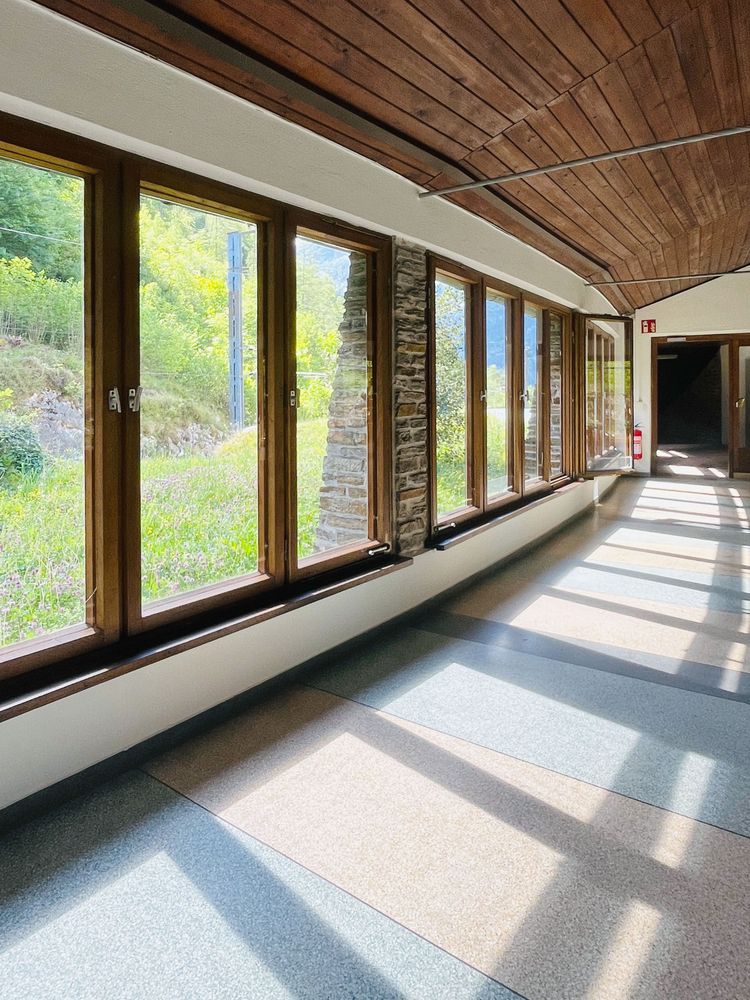 große Holzfenster entlang einer Wand, ein lichtdurchfluteter Raum, Holzdecke, draußen Fenster und Vegetation