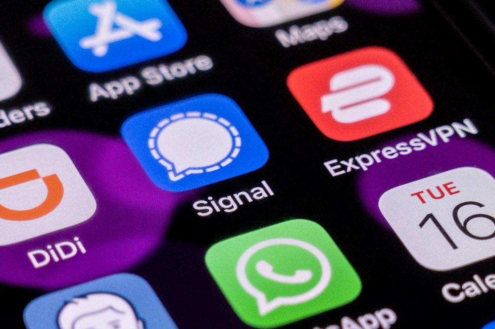 signal messenger kritik