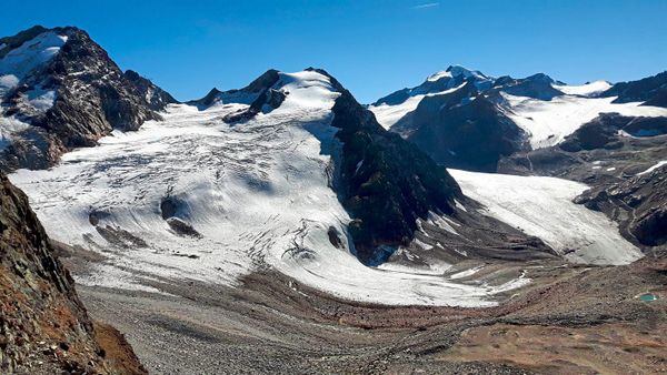 Foto: WWF / Vincent Sufiyan