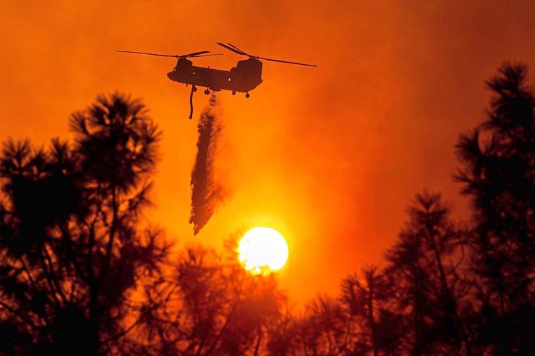 Helikopter, der Wasser abwirft auf einen brennenden Wald