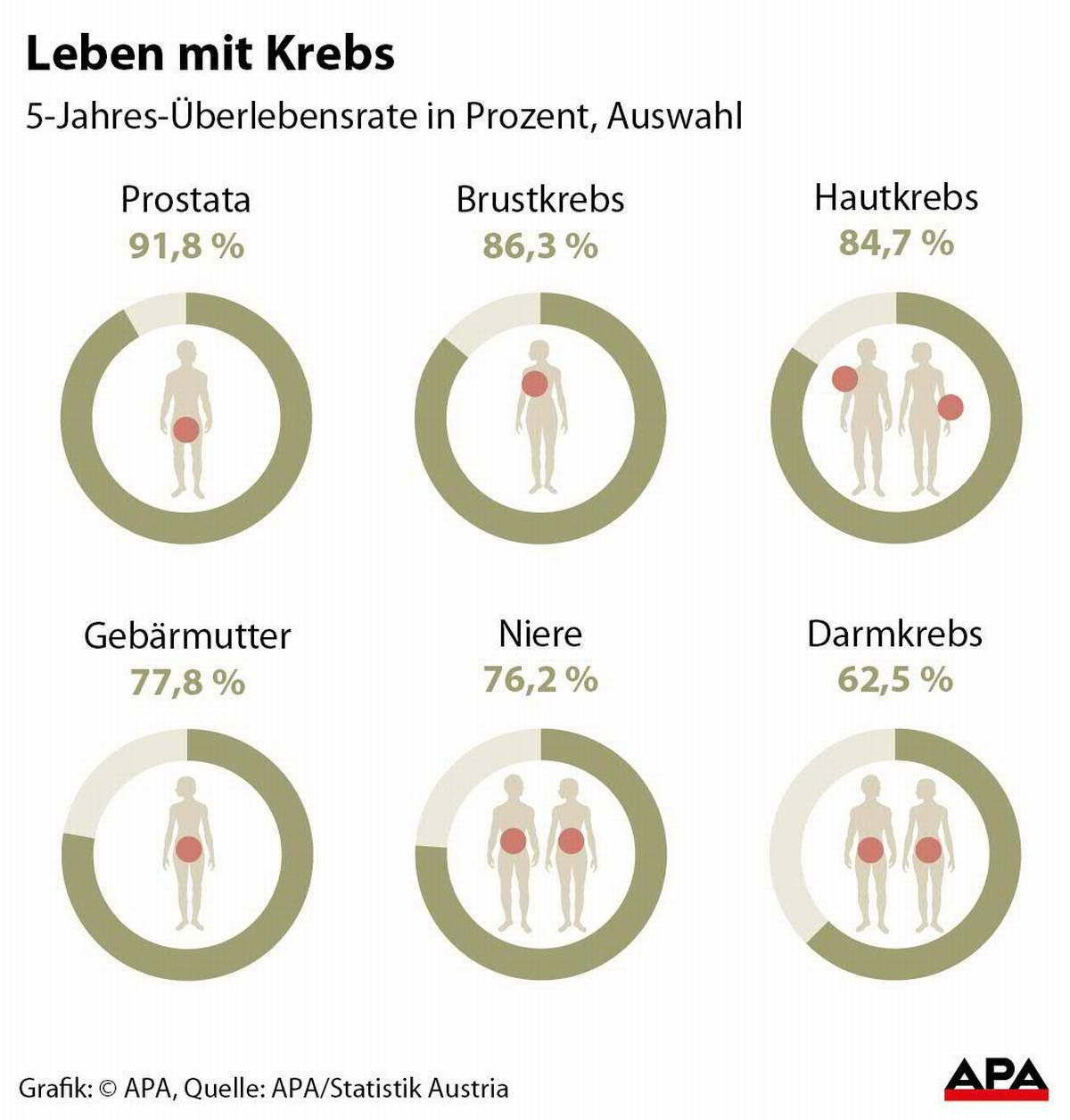 Experten sehen Österreichs Krebsforschung in Gefahr - Erkrankungen & Therapie - derStandard.at ...