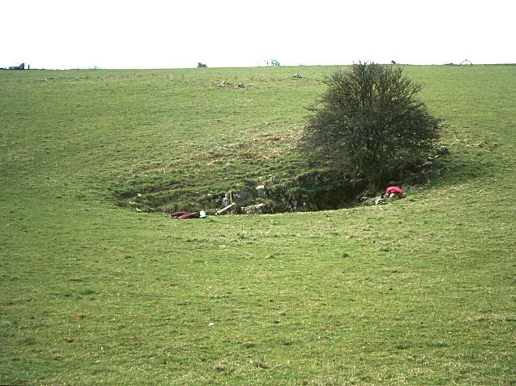 Der Ausgrabungsort Charterhouse Warren in Somerset (1972). In dem Massengrab fanden sich die Überreste zweier Kinder mit Yersinia-pestis-DNA.