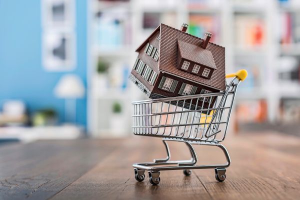 Wohnungen-waren-2025-wieder-st-rker-nachgefragt