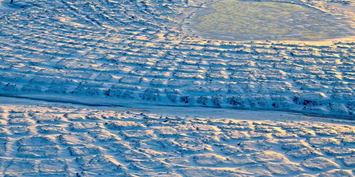 Permafrost: Die tauende Zeitbombe der Arktis - Natur - derStandard.de ...