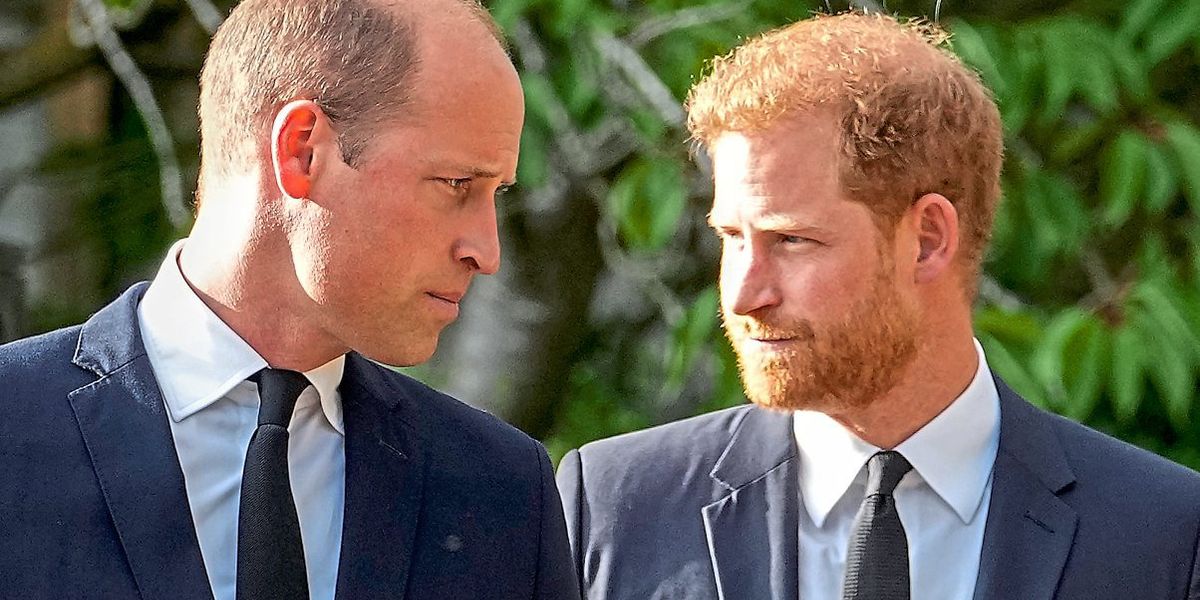 Mach's wie Harry Sich mit Bart neu erfinden Kolumne Der letzte