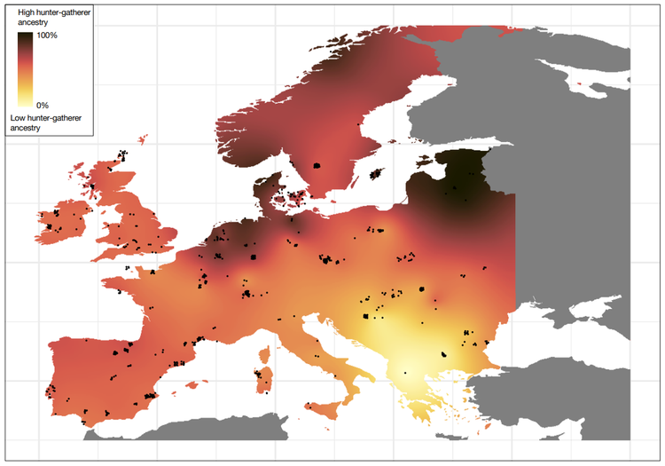 Karte Europas mit Farbverlauf, der die Häufigkeit von Jäger-und-Sammler-Abstammung darstellt. Ein Spektrum von Rot (hohe Abstammung, 100 %) bis Gelb (niedrige Abstammung, 0 %) wird gezeigt. Grau markiert nicht erfasste Bereiche. Schwarze Punkte kennzeichnen spezifische Fundorte.