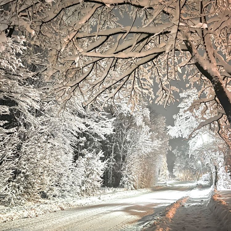 Winter Bilder – Durchsuchen 20,513,804 Archivfotos, Vektorgrafiken und  Videos