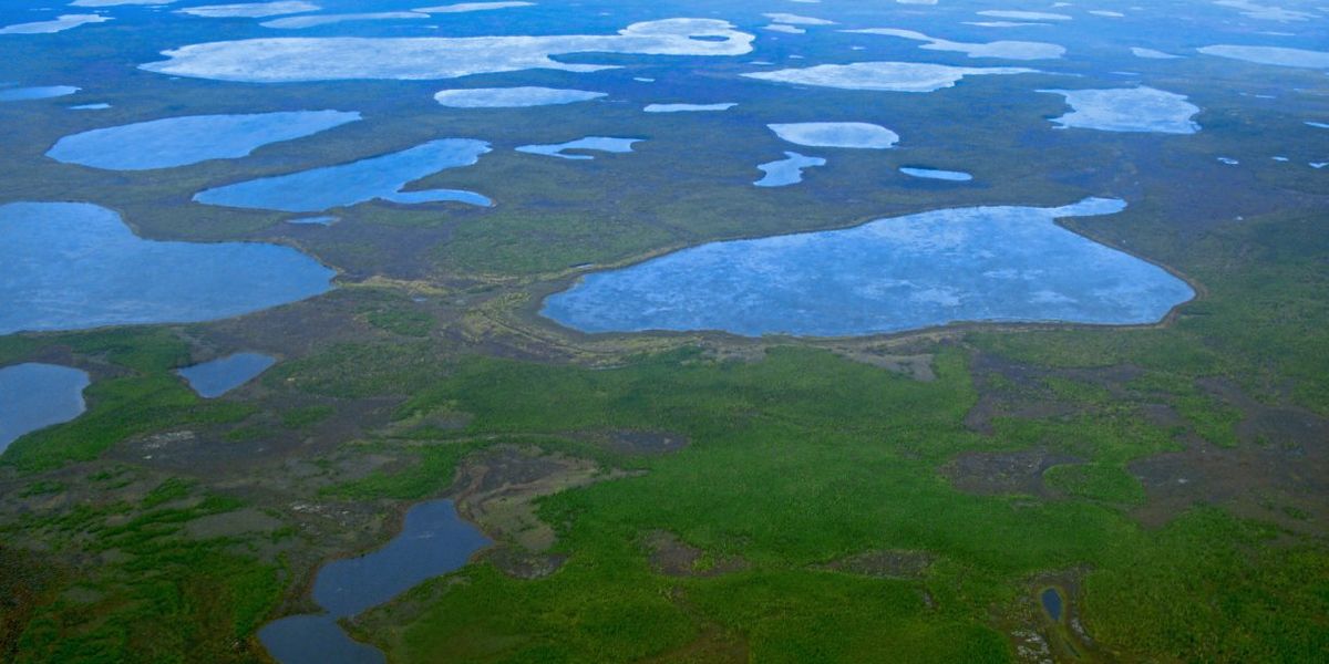 viren-aus-sibirischem-permafrost-sind-nach-50-000-jahren-immer-noch