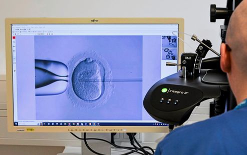 künstlicher wein Kunstpflanzen | Künstlicher Königswein mit UV-Schutz main image 1