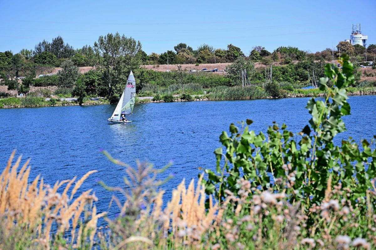 Ein Segelboot fährt auf einem ruhigen Gewässer, umgeben von grüner Vegetation und Bäumen. Im Vordergrund sind Schilf und Pflanzen zu sehen. Im Hintergrund erstrecken sich eine hügelige Landschaft und ein entferner Turm.