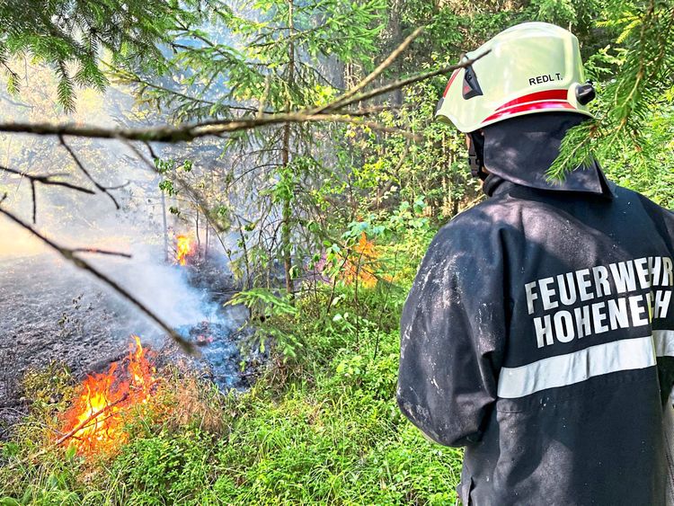 Flammen im Bezirk Gmünd haben wegen des Windes und der Trockenheit auf einen Wald übergegriffen