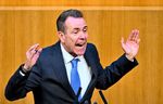 EU-Ausschuss stimmt für Aufhebung der Immunität von Vilimsky