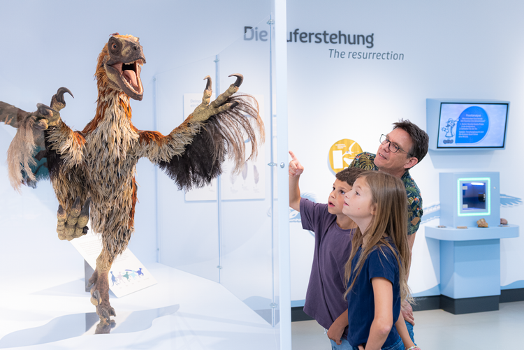 Eine Familie, bestehend aus einem Mann und zwei Kindern, betrachtet in einer Ausstellung im Haus der Natur Salzburg eine lebensgroße Nachbildung eines gefiederten Dinosauriers hinter Glas. Im Hintergrund sind Ausstellungstafeln und interaktive Displays zu sehen.