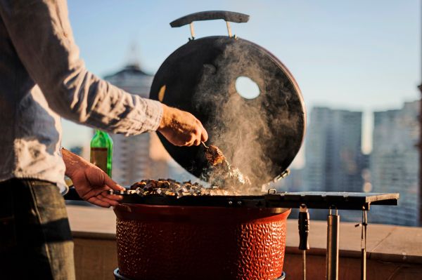 Warum-Grillen-eine-Sommerplage-ist