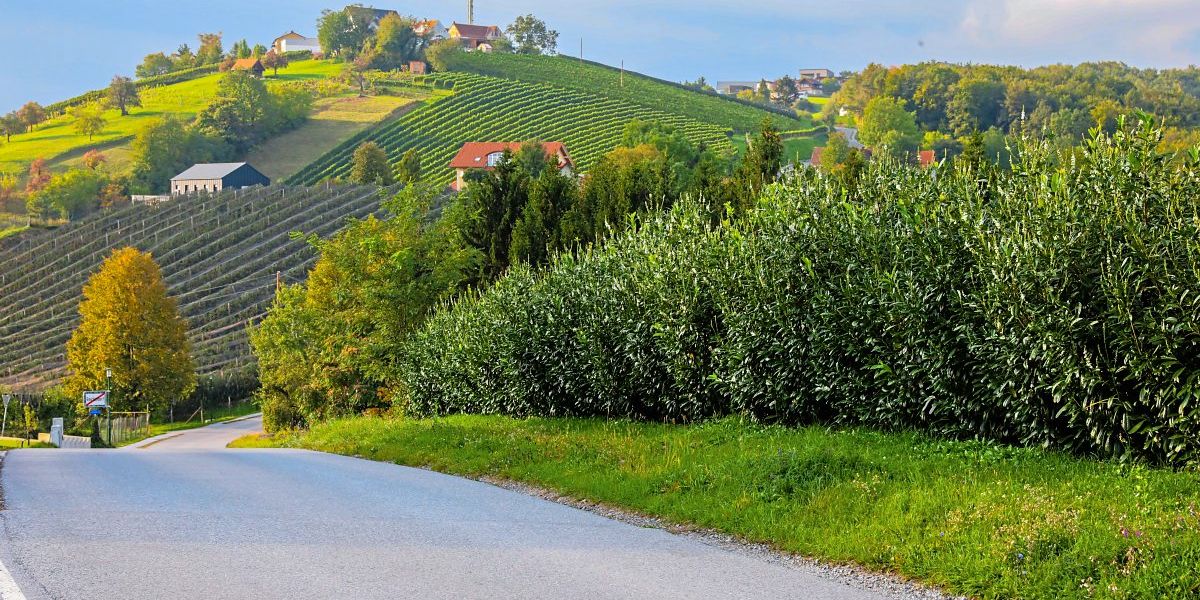 Reichendorf - Reichendorf