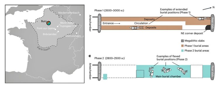 Eine Karte zeigt die Lage von Bury in Frankreich, umgeben von anderen archäologischen Stätten. Daneben sind zwei Diagramme: Oben ist Phase 1 (3500–3000 v. Chr.) dargestellt, mit länglicher Grabkammer, Begräbnissen in ausgestreckter Position und Ablagerungen. Unten Phase 2 (2800–2500 v. Chr.) mit Hauptgrabkammer und flexierten Körperpositionen. Unterschiedliche Farben markieren die Begräbnisareale beider Phasen.