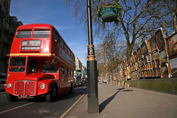 Busfahrer-berichten-ber-Kakerlaken-in-Londoner-Bussen