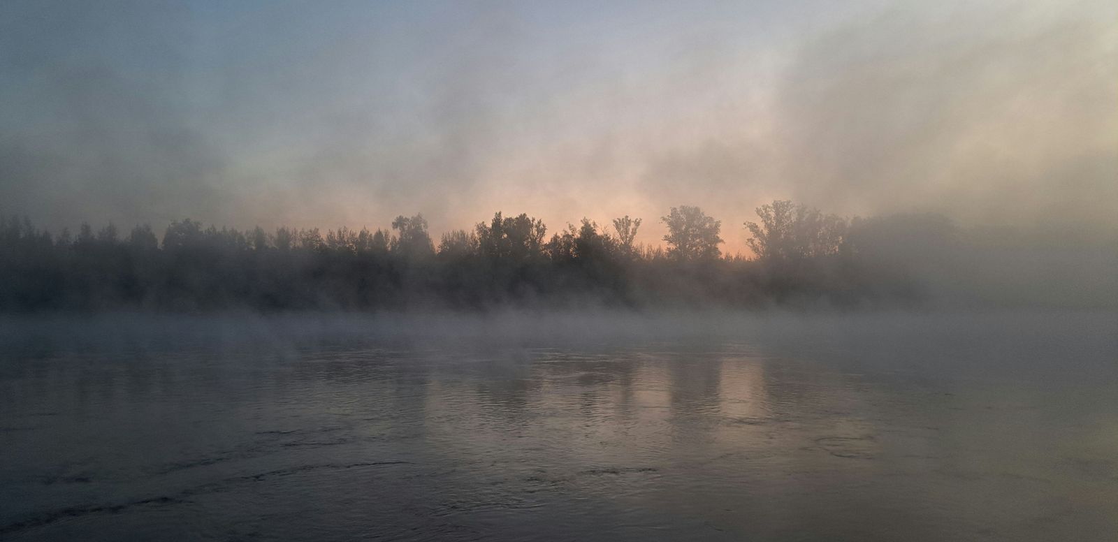 Nebel liegt über einem mit Bäumen gesäumten Flussufer