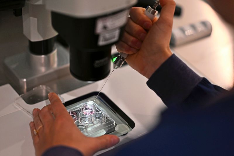 Renommierte europäische Förderpreise für neun in Österreich tätige Forschende