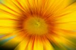 Social Media, Smalltalk oder Shopping-Empfehlung: Hey, Hauptsache gute Vibes!